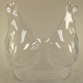 lingerie disiplay forms Lingerie disiplay forms