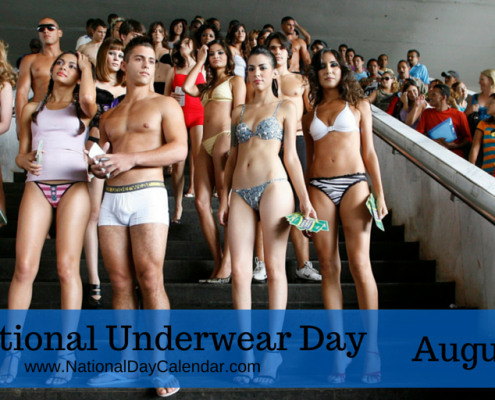 underwear day Archives - Bra-makers Supply the leading global source for bra  making and corset making supplies