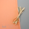 Coral Panty Kit Bra-makers Supply