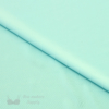 Aquamarine Rio Nylon Spandex Swimwear Fabric Bra-makers Supply