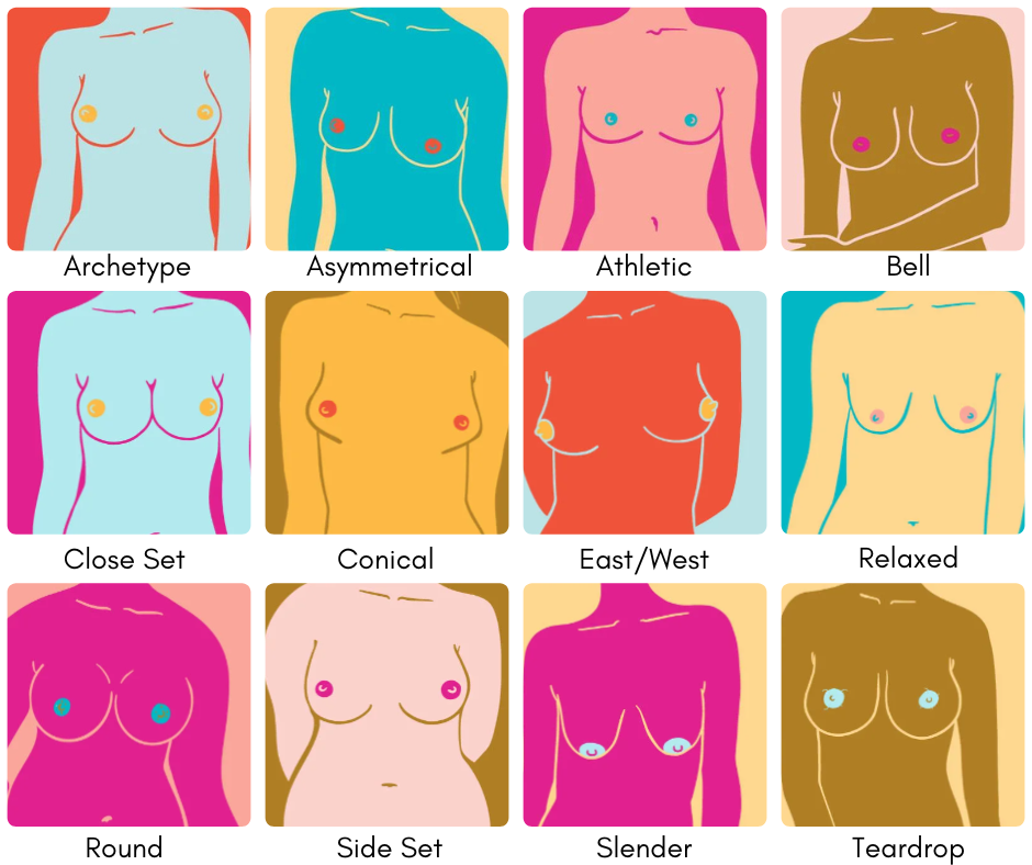 The 12 Different Breast Shapes and Types