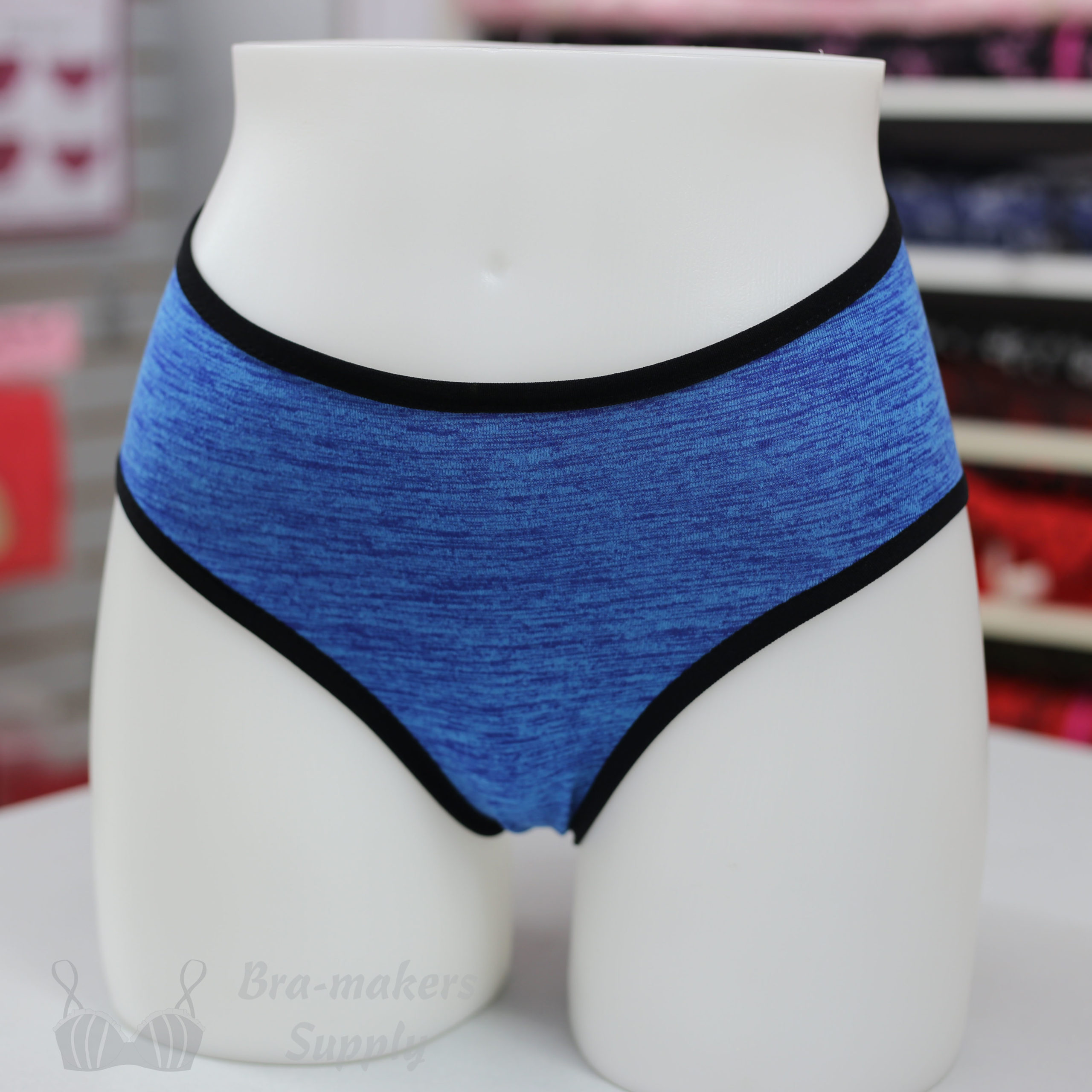 Cheryl Back Seam Panty Pattern - pattern by Bra-Makers Supply