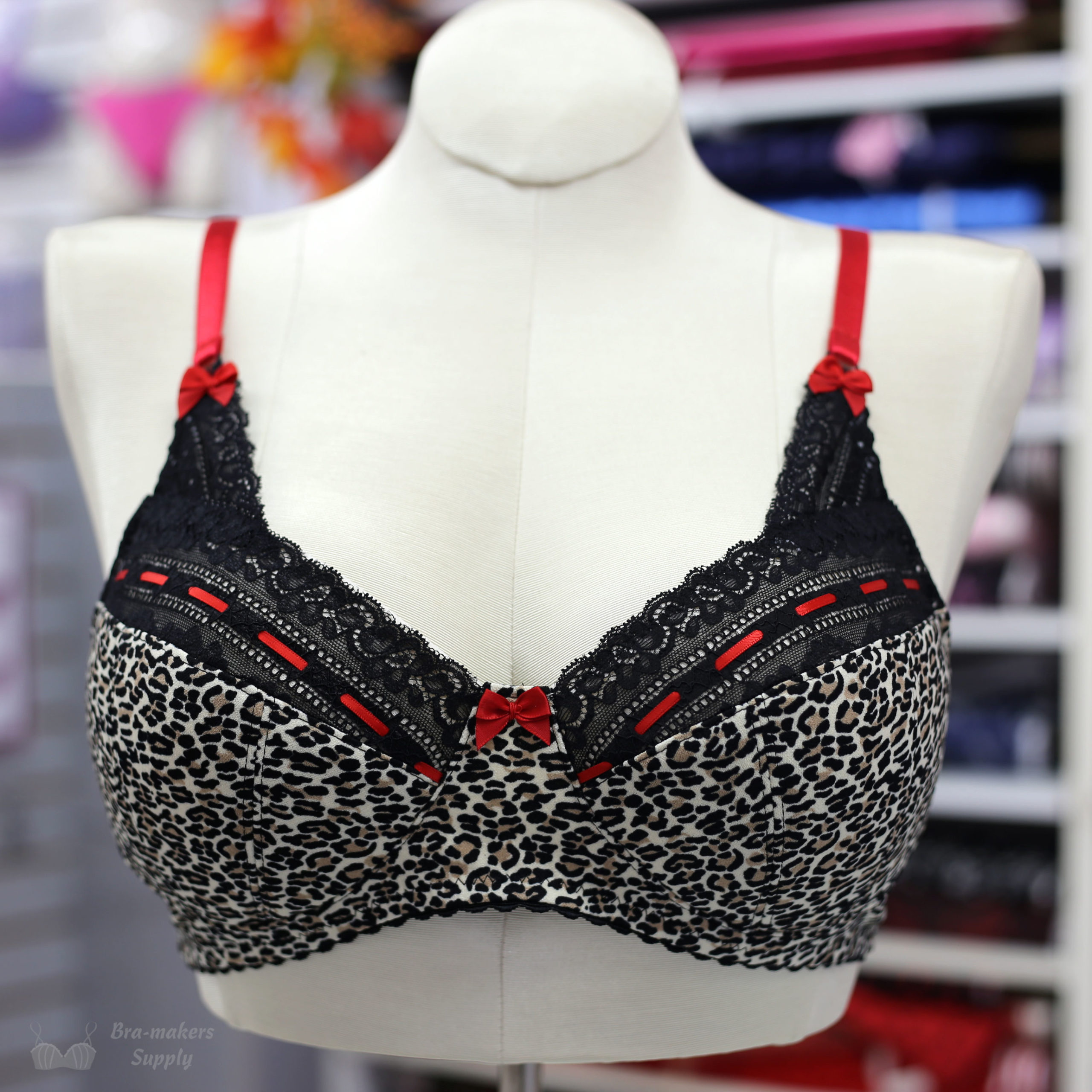 Pin-Up Girls Ruby Bra - definitely a jewel accompanied by the Evie La Luve  Esme — Angel Sews