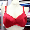 Ruby Bra Sample Bra-makers Supply Watermark