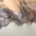 Aquarelle Premium Lace