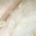 Daisy-Dew Embroidered Tulle Fabric