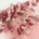Raspberry Truffle Premium Lace