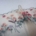 Vintage Vanity Premium Lace